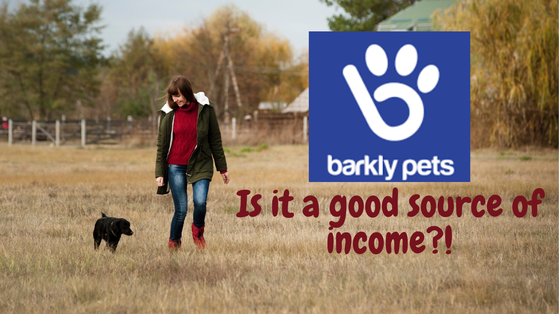barkly pets review