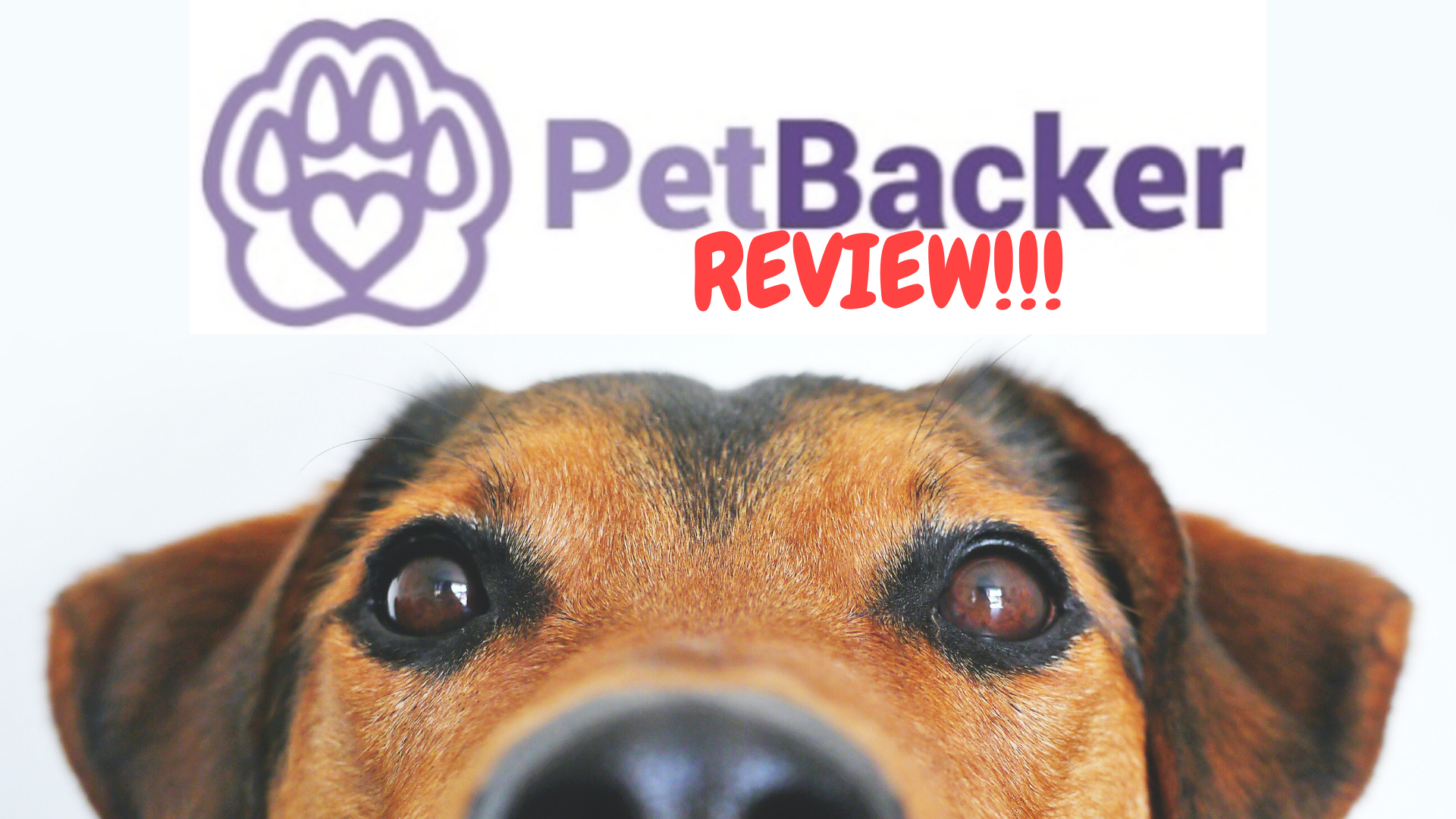 PetBacker Review