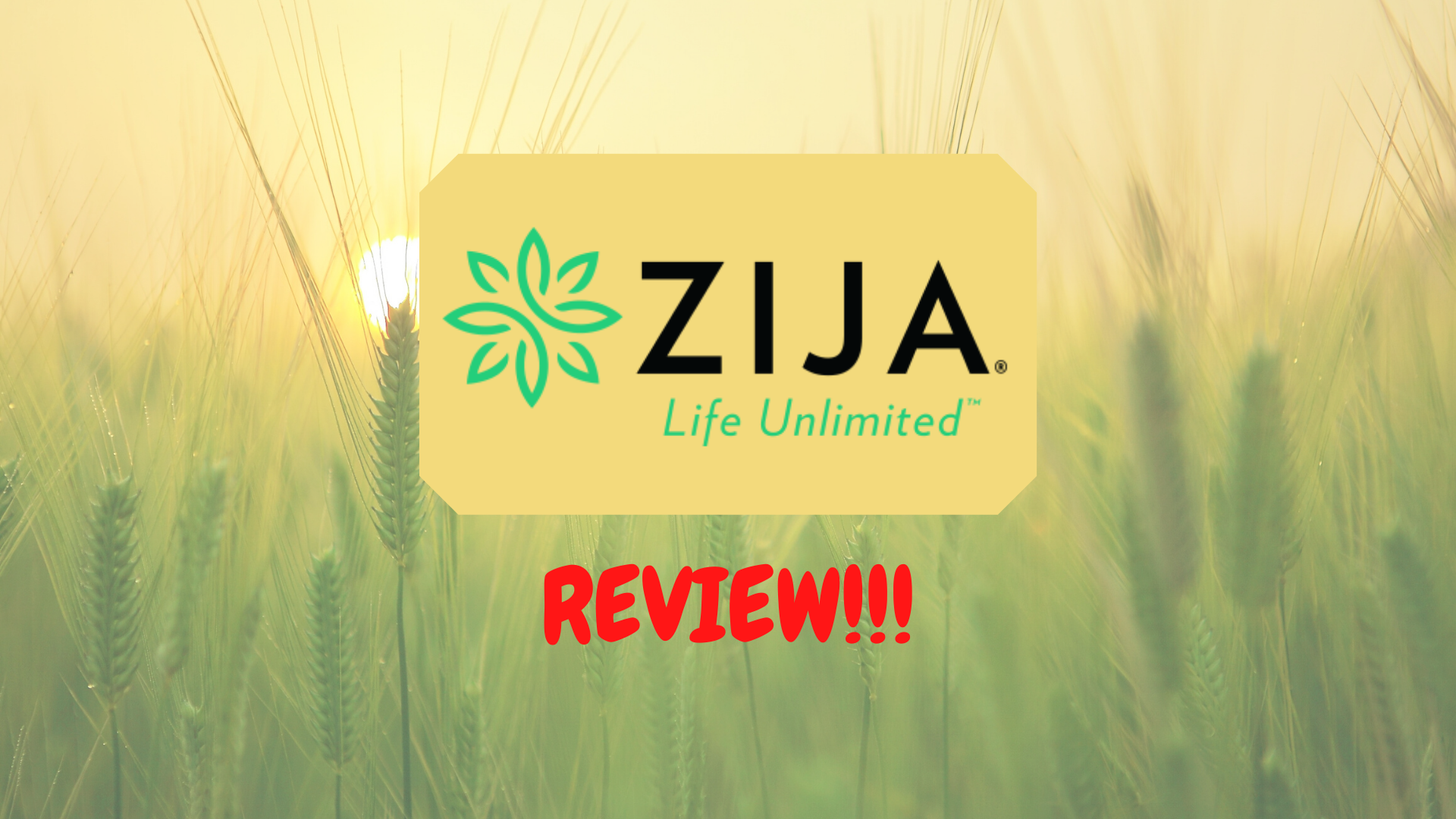 Zija International Review