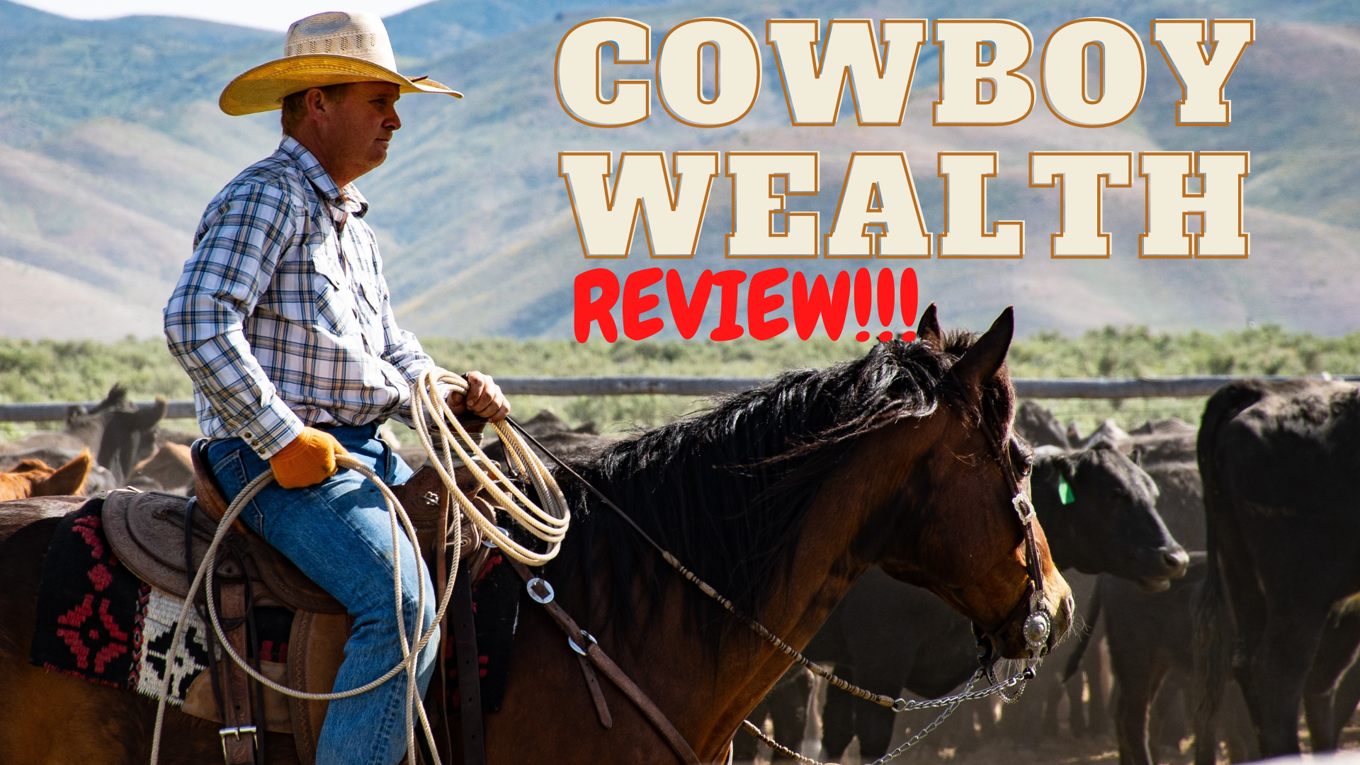 Is Cowboy Wealth a Scam