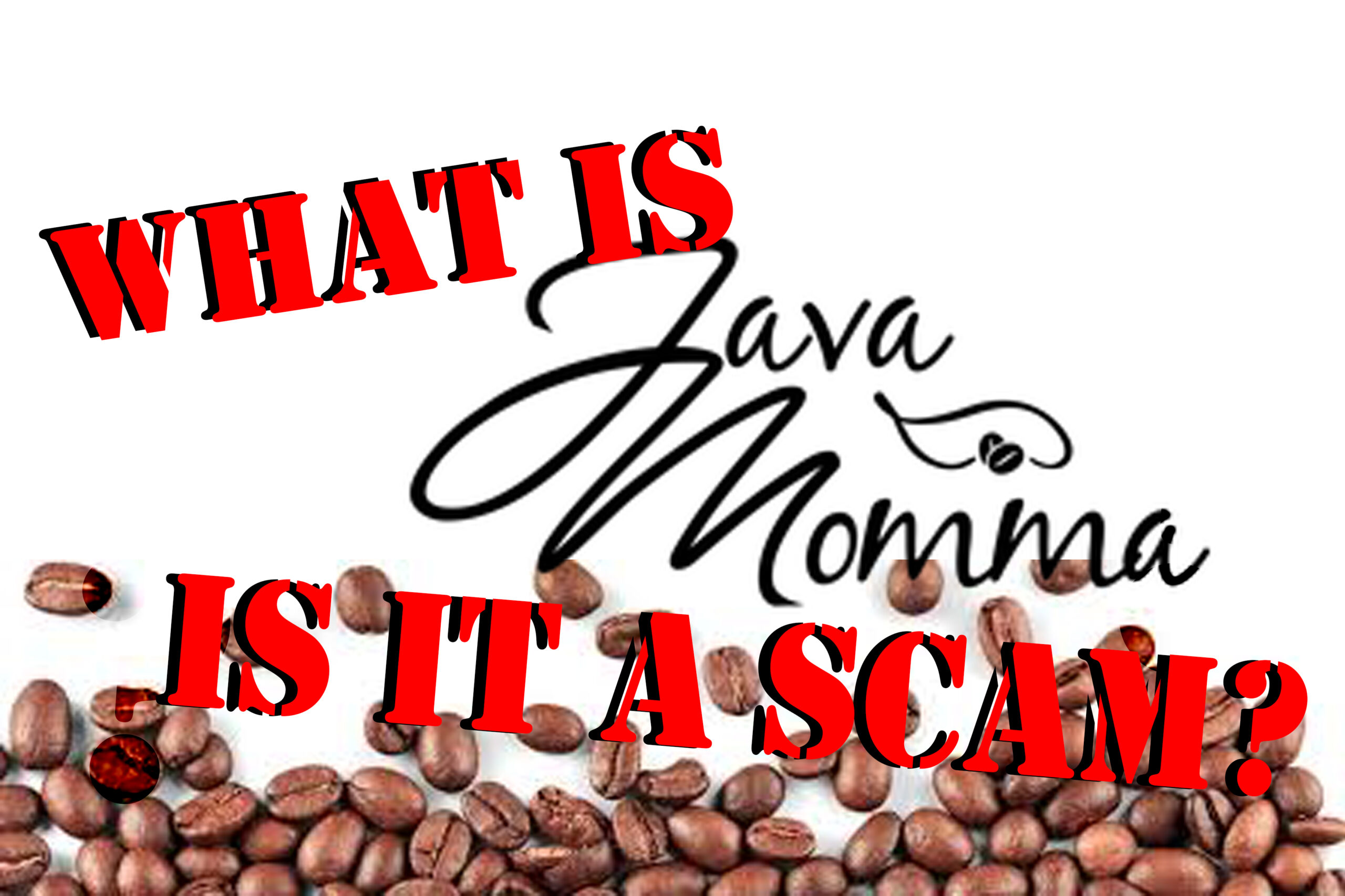 Is Java Momma a Scam
