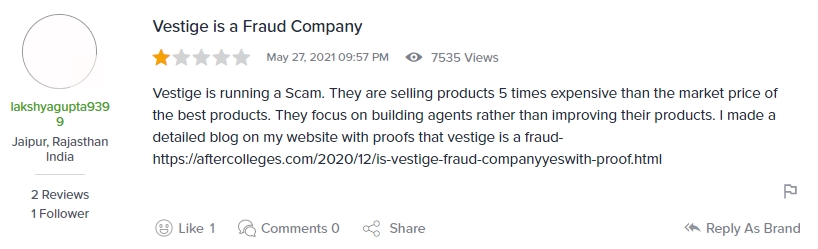 Is Vestige a Scam